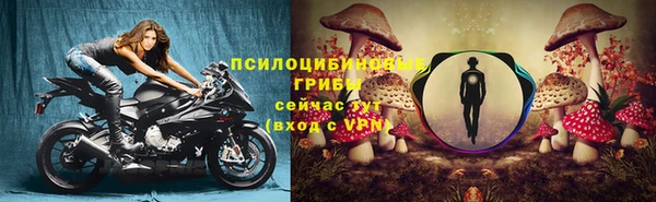 марки lsd Алексеевка